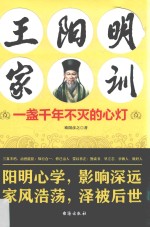 王阳明家训  一盏千年不灭的心灯 封面