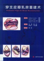 穿支皮瓣乳房重建术 封面