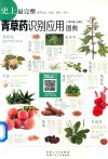 青草药识别应用图典 封面