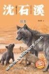 动物小说大王沈石溪  狼妻  注音读本 封面