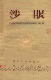 沙眼 封面