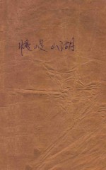 慢峻山湖 电子书封面