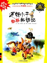 逻辑小子微服私访记 封面