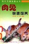 肉兔快速饲养 封面