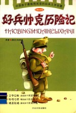 好兵帅克历险记 封面