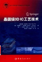 晶圆级3D IC工艺技术 封面