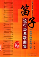 民族器乐曲集系列丛书  笛子流行经典歌曲集 封面