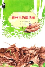 自然观察绘本  树林里的魔法师 封面