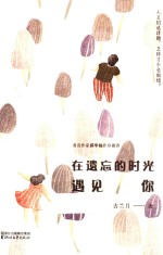 在遗忘的时光遇见你 封面