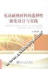 电站耐热材料的选择性强化设计与实践 封面