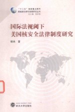 国际法视阈下美国核安全法律制度研究 封面