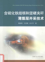 含硫化铁结核和坚硬夹矸薄煤层开采技术 封面