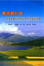 青海赛什塘铜多金属矿床成矿条件与成矿规律 封面