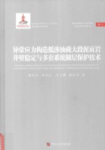 异常应力构造低渗油藏大段泥页岩井壁稳定与多套系统储层保护技术 封面
