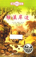 国际大奖儿童小说  梅溪岸边 封面