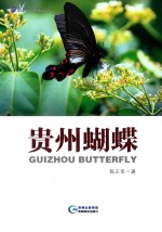 贵州蝴蝶 封面