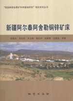 新疆阿尔泰阿舍勒铜锌矿床 封面