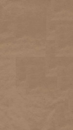 春秋经解十五卷  第4册  清乾隆武英殿聚珍版本 封面