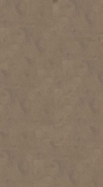 南史八十卷  第5册  明万历三十一年南监刻本 封面