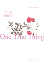 爱在别离时 封面