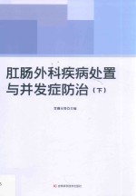 肛肠外科疾病处置与并发症防治  下 封面
