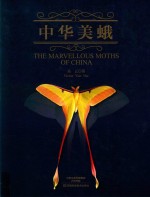 中华美蛾 封面
