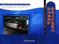 蓄热式步进梁式棒线加热炉  工程设计及建设经典案例图解 封面