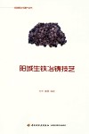 阳城生铁冶铸技艺 封面
