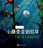 小藤壶亚伯拉罕 封面