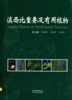 滇西北重要及有用植物 封面