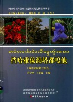 档哈雅傣泐塔都嘎他傣医治病要方集  9 封面