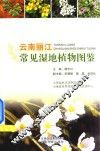 云南丽江常见湿地植物图鉴 封面