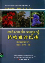 档哈雅沙巴拢傣医治病要方集  8 封面