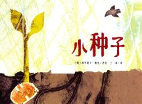 暖绘本  小种子  3-6岁 封面