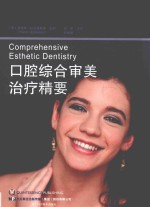 口腔综合审美治疗精要 封面