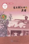 长在树上的皮球 封面