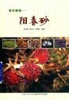 四大南药  阳春砂 封面