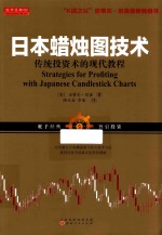 日本蜡烛图技术  传统投资术的现代教程 封面