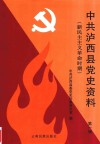 中共泸西县党史资料  第1辑  新民主主义革命时期 封面