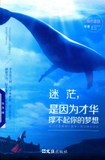 迷茫  是因为才华撑不起你的梦想 封面