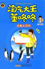 南极大冒险  淘气大王董咚咚 封面