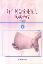 妇产科急症处置与疾病治疗  下 封面
