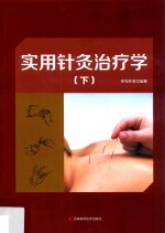 实用针灸治疗学  下 封面