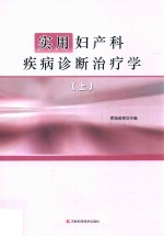 实用妇产科疾病诊断治疗学  上 封面