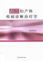 实用妇产科疾病诊断治疗学  下 封面