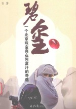 碧玺  一个北京珠宝商在阿富汗的奇遇 封面