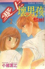 大然文化少女馆系列  爱上坏男孩  2 封面