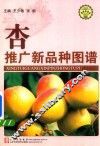 杏推广新品种图谱 封面