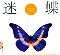 迷蝶 封面