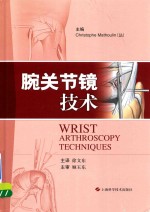 腕关节镜技术 封面